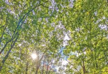 2026 Peninsula Hiking Festival: Finding Common Ground