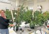St. Edmunds’ 3rd Annual Winter Planter Workshop November 27